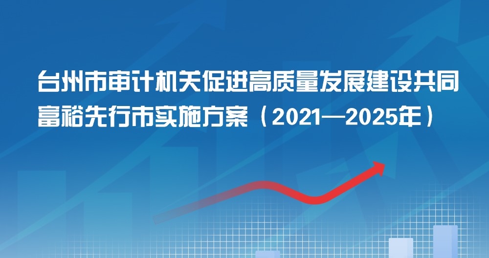 台州市审计机关促进高质量发展建设共同富裕 先行市实施方案（2021—2025年）